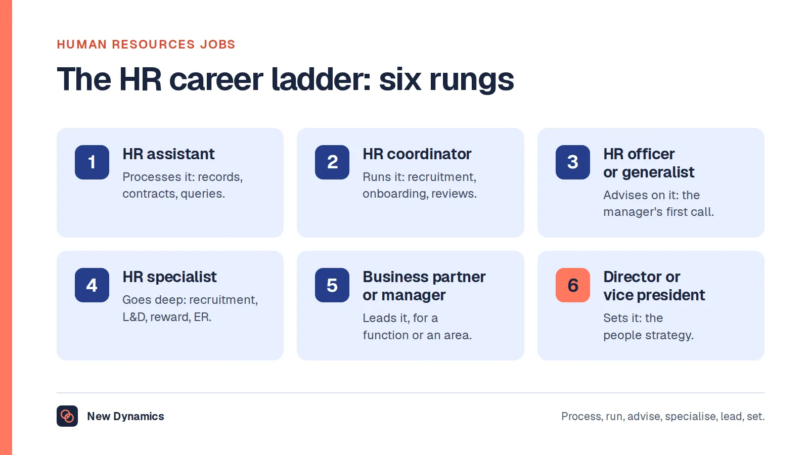 Human resources jobs and duties on a six-rung ladder: HR assistant, HR coordinator, HR officer or generalist, HR specialist, HR business partner or manager, and HR director or vice president.
